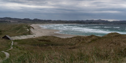 DSC07586.jpg