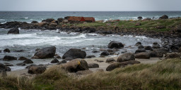 DSC07613.jpg