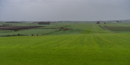 DSC07625.jpg