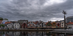 DSC07638.jpg