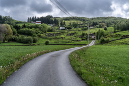 DSC07659.jpg