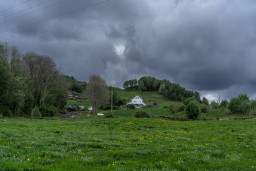 DSC07662-2.jpg