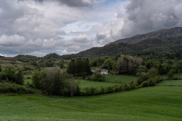 DSC07663.jpg