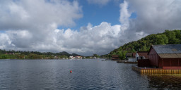 DSC07667.jpg