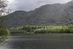 DSC07669.jpg