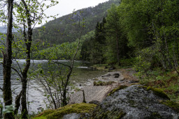 DSC07711.jpg