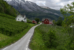 DSC07807.jpg