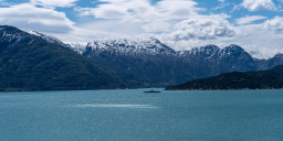 DSC07836.jpg