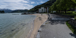DSC07851.jpg