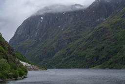 DSC07871.jpg