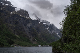 DSC07877.jpg