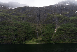 DSC07883.jpg