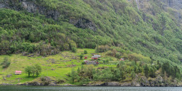 DSC07899.jpg