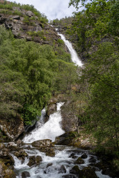 DSC07933.jpg