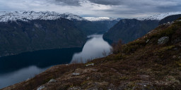 DSC08003.jpg