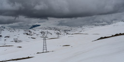 DSC08059.jpg