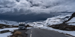 DSC08065.jpg