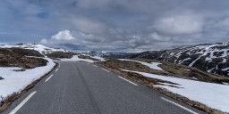 DSC08066.jpg