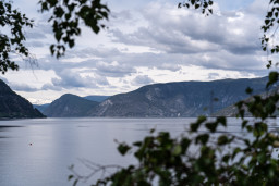 DSC08072.jpg