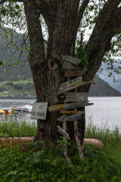 DSC08098.jpg