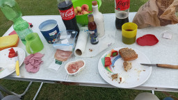 IMG-20220803-WA0016.jpeg