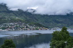 DSC08111.jpg