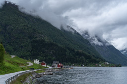 DSC08114.jpg