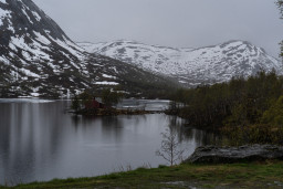 DSC08124.jpg