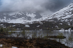 DSC08129.jpg