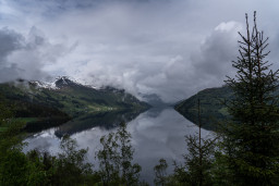 DSC08130.jpg