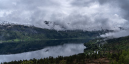 DSC08132.jpg