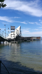 IMG_20220813_115120.jpg