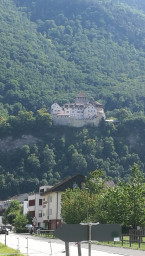 IMG_20220817_120745.jpg