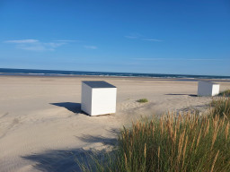 20220831_095300.jpg