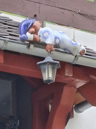20220915_131242.jpg