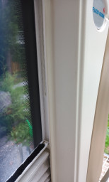 20220918_183224.jpg