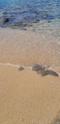 IMG-20220928-WA0016.jpg