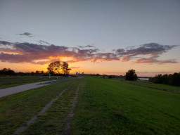 20221002_190521.jpg