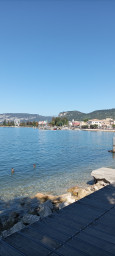 IMG_20221007_120746.jpg