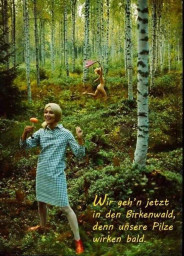 Pilz.jpg