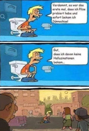 Pilz.jpg