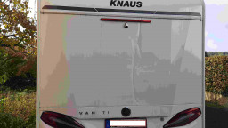 Baum.jpg