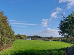 20221011_125843.jpg