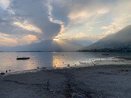 IMG_3177.jpg