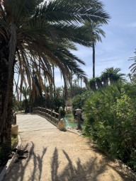 Parque del Palmeral