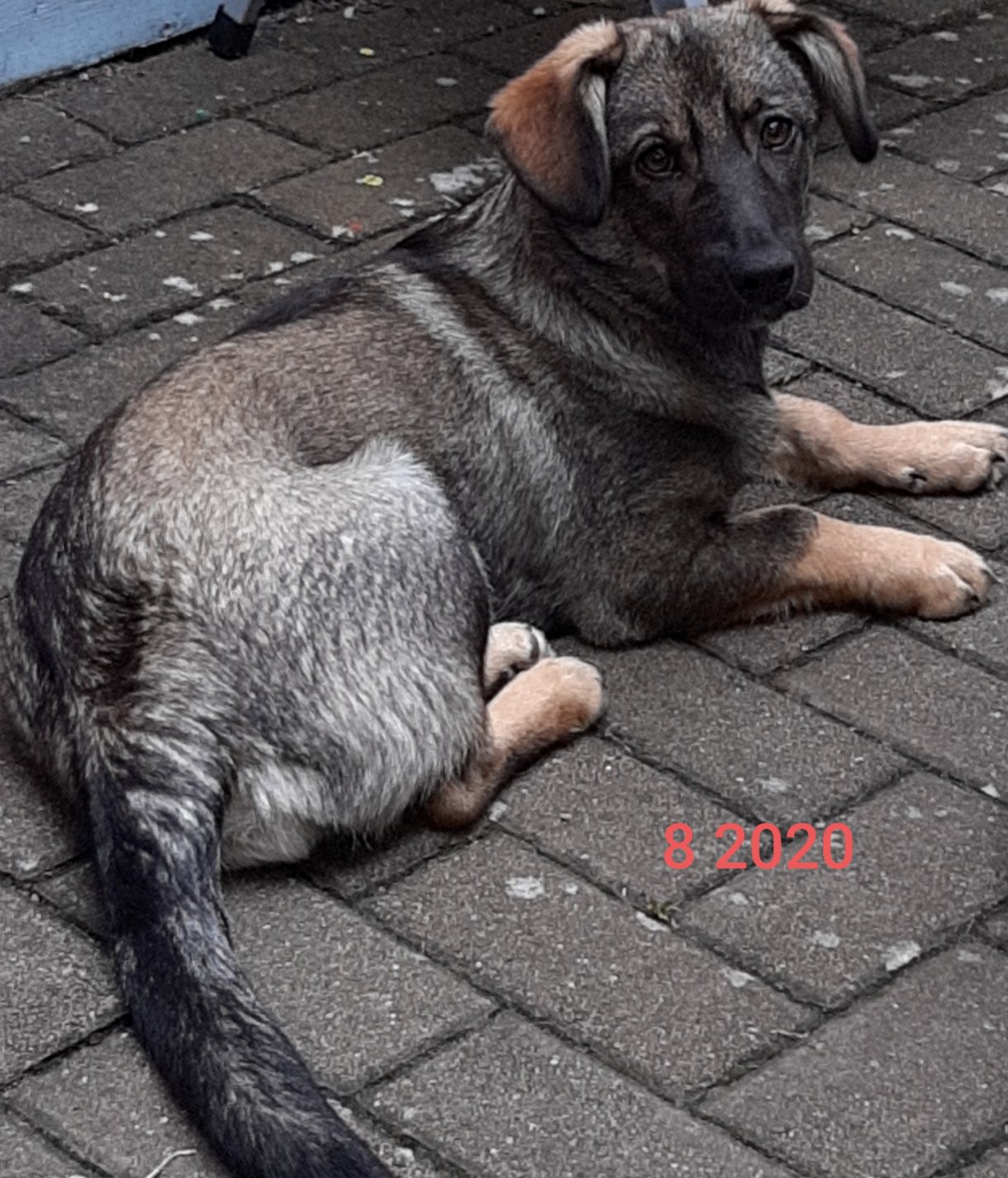 20201221_210626.jpg