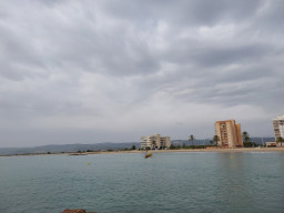 20221023_115448.jpg