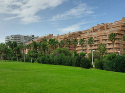 20221024_124847.jpg