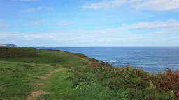 20221025_151504.jpg