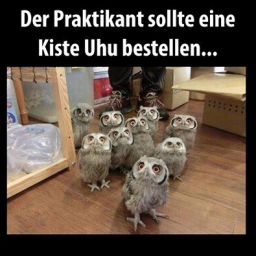 uhu.png